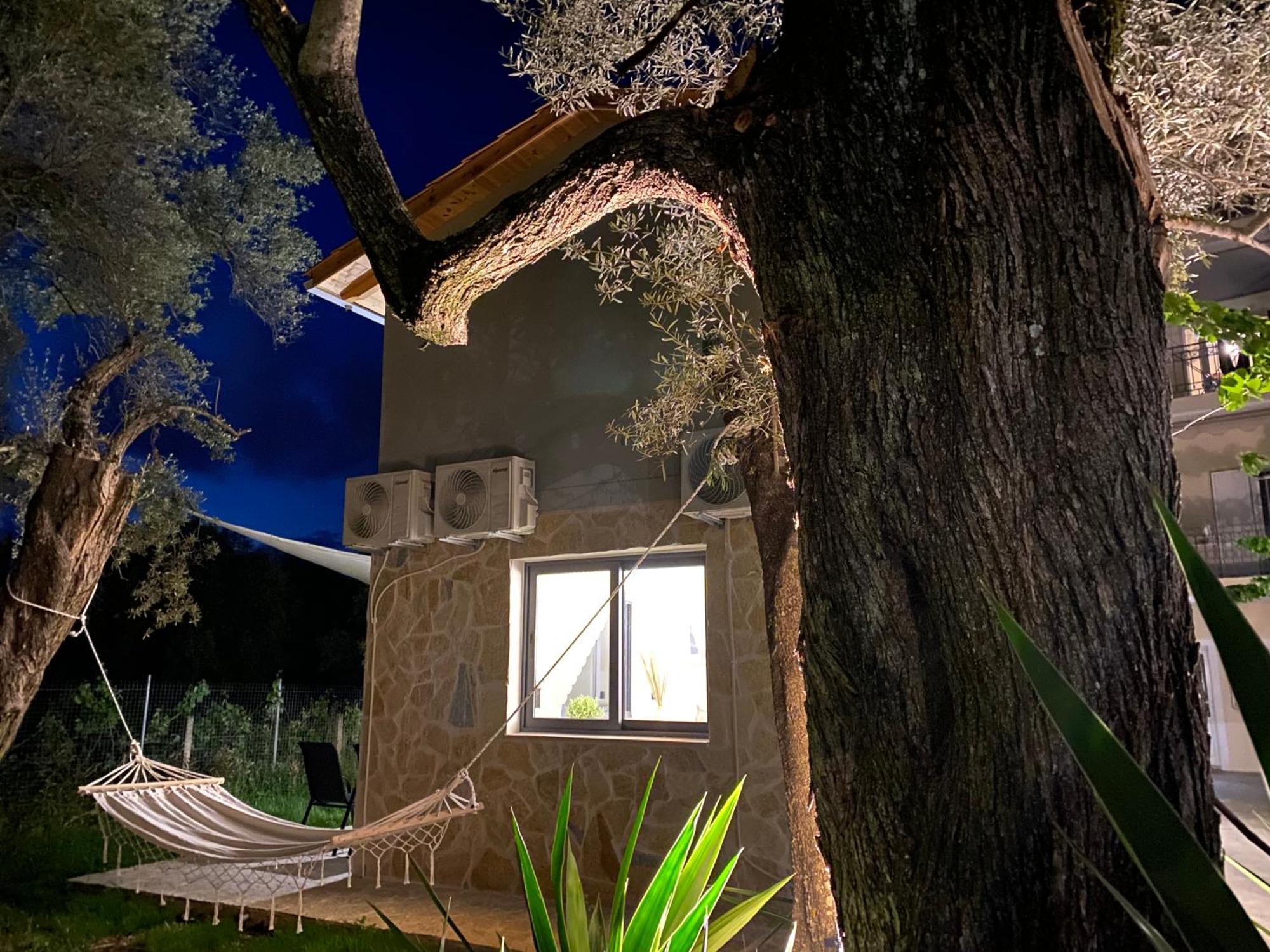Olive Tree Apartments Lefkáda Pokoj fotografie