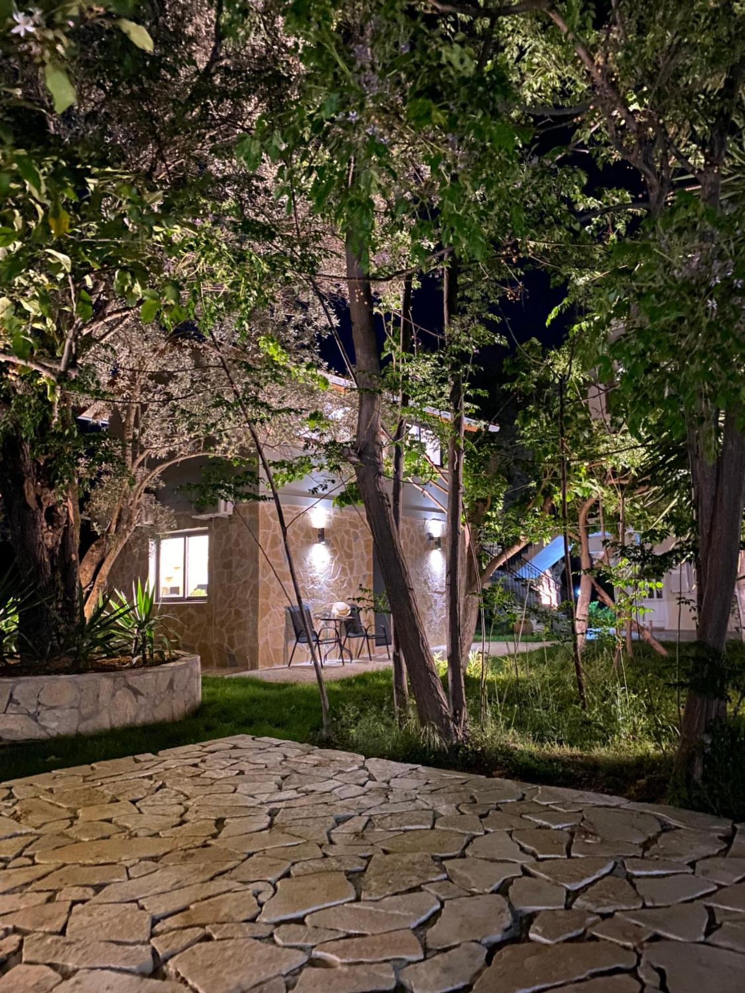 Olive Tree Apartments Lefkáda Pokoj fotografie