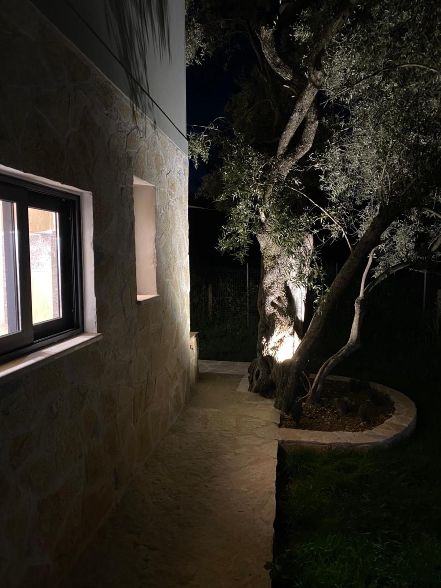 Olive Tree Apartments Lefkáda Exteriér fotografie